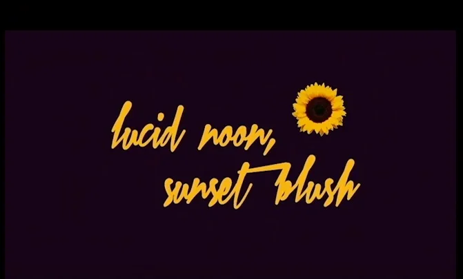 The BA Presents: Alli's Lucid Noon Sunset Blush