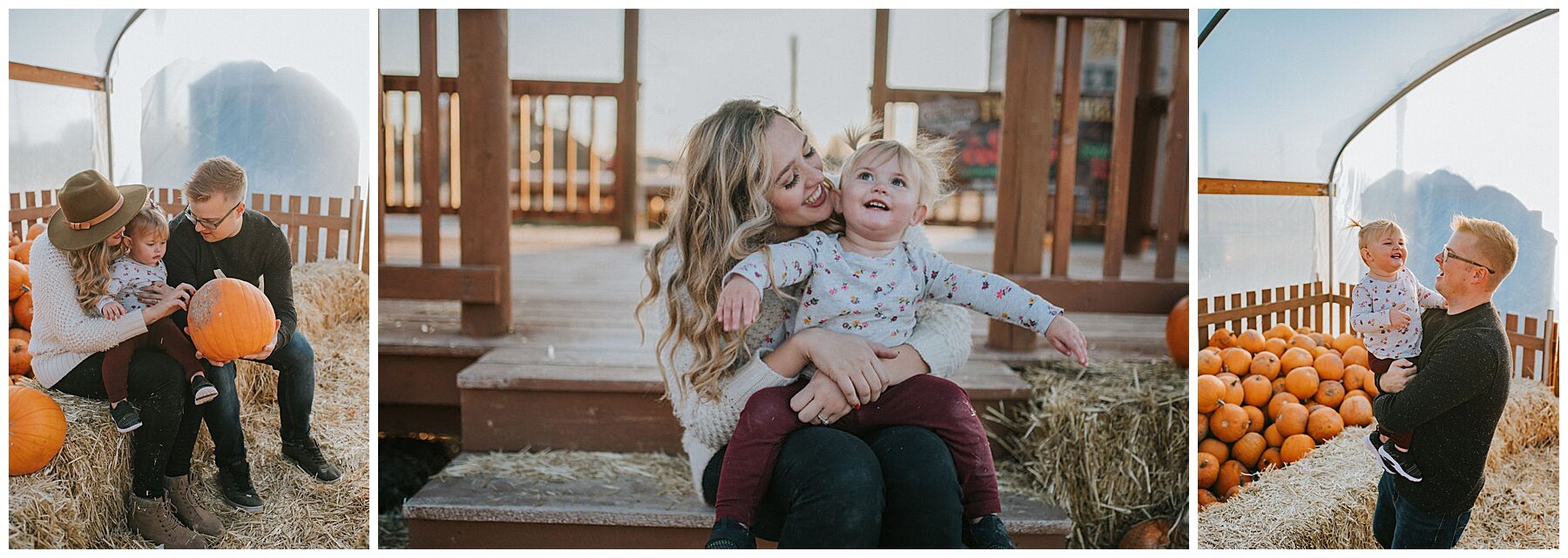 jackson-hole-fall-family-photos-knoxville-family-photographer-look-for-the-light-photo-video