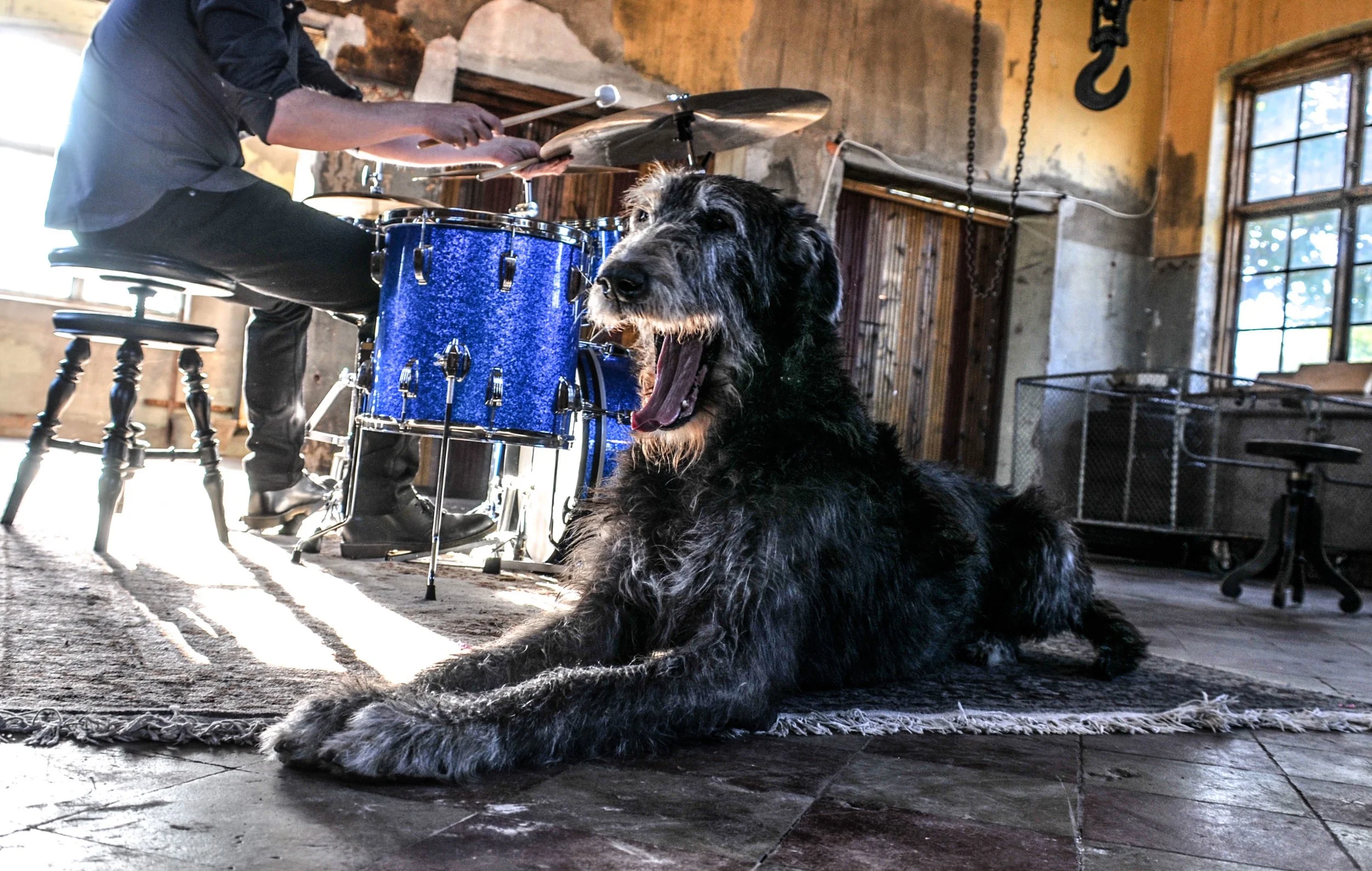 Fil 2017-08-24 07 55 17.jpeg