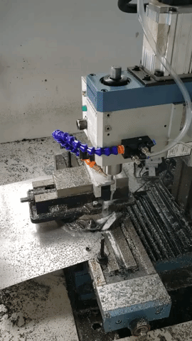 giphy.gif