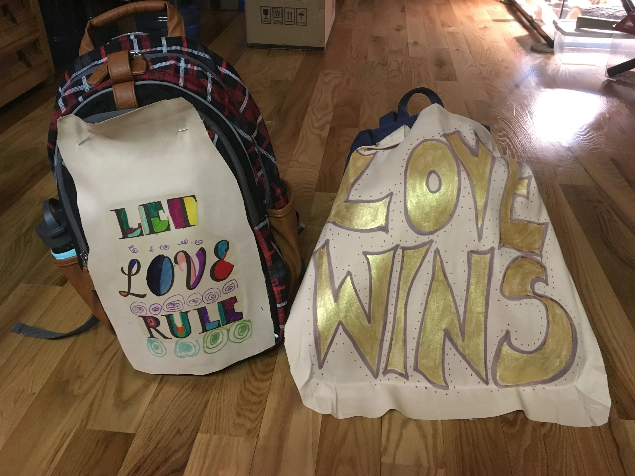 The signs my son and I made and carried at the Women's March