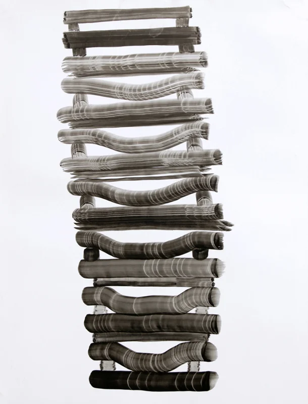 "Form Study 04" 2008
