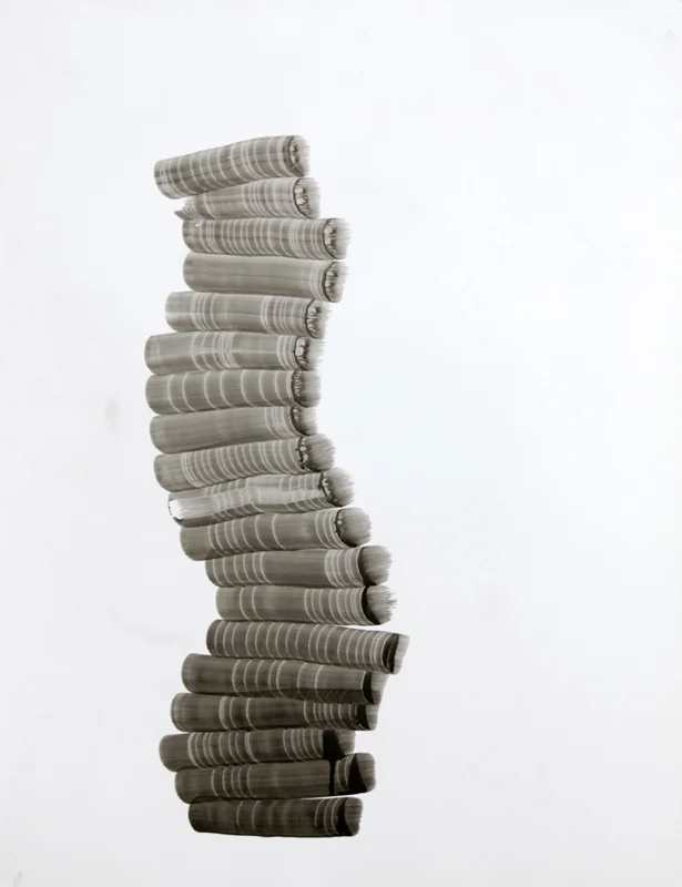 "Form Study 08" 2008