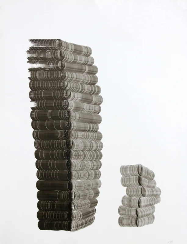 "Form Study 01" 2008