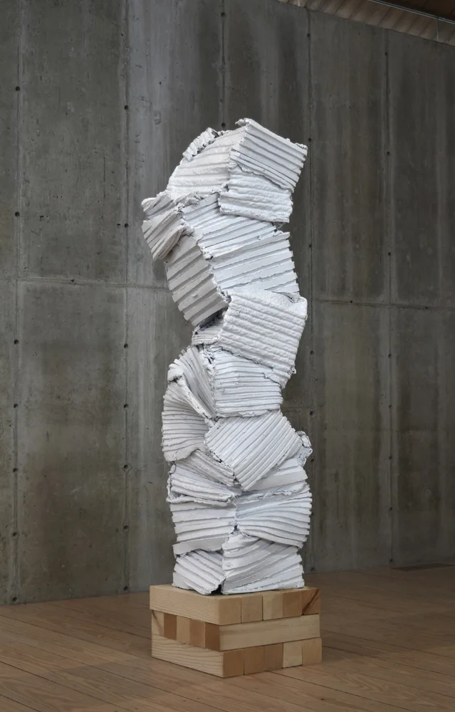 "Surrounding Walls" 2010