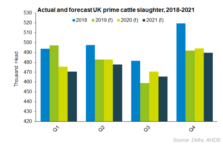 forecast prime cattle.png