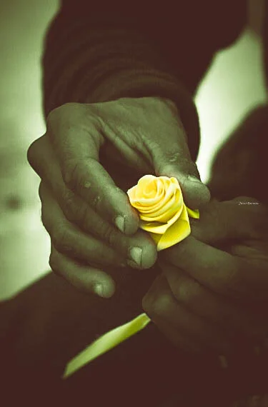 Dec 26 2015 (19).JPG