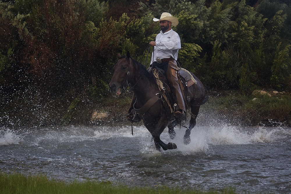 Cowboy crosses a river