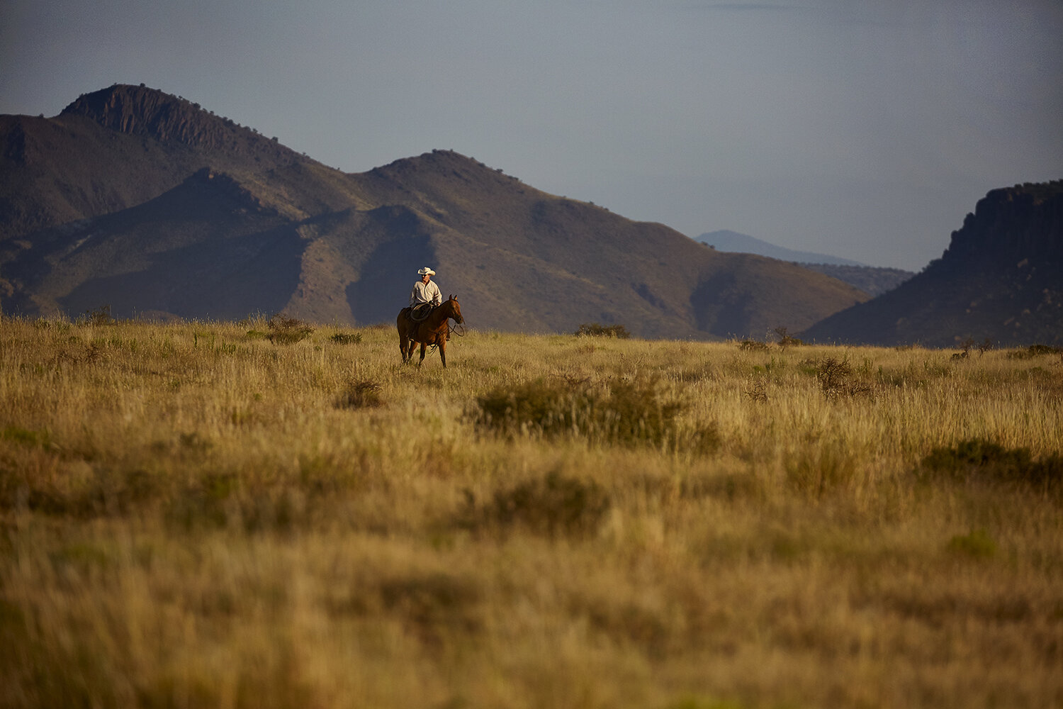 Cowboy rides horse