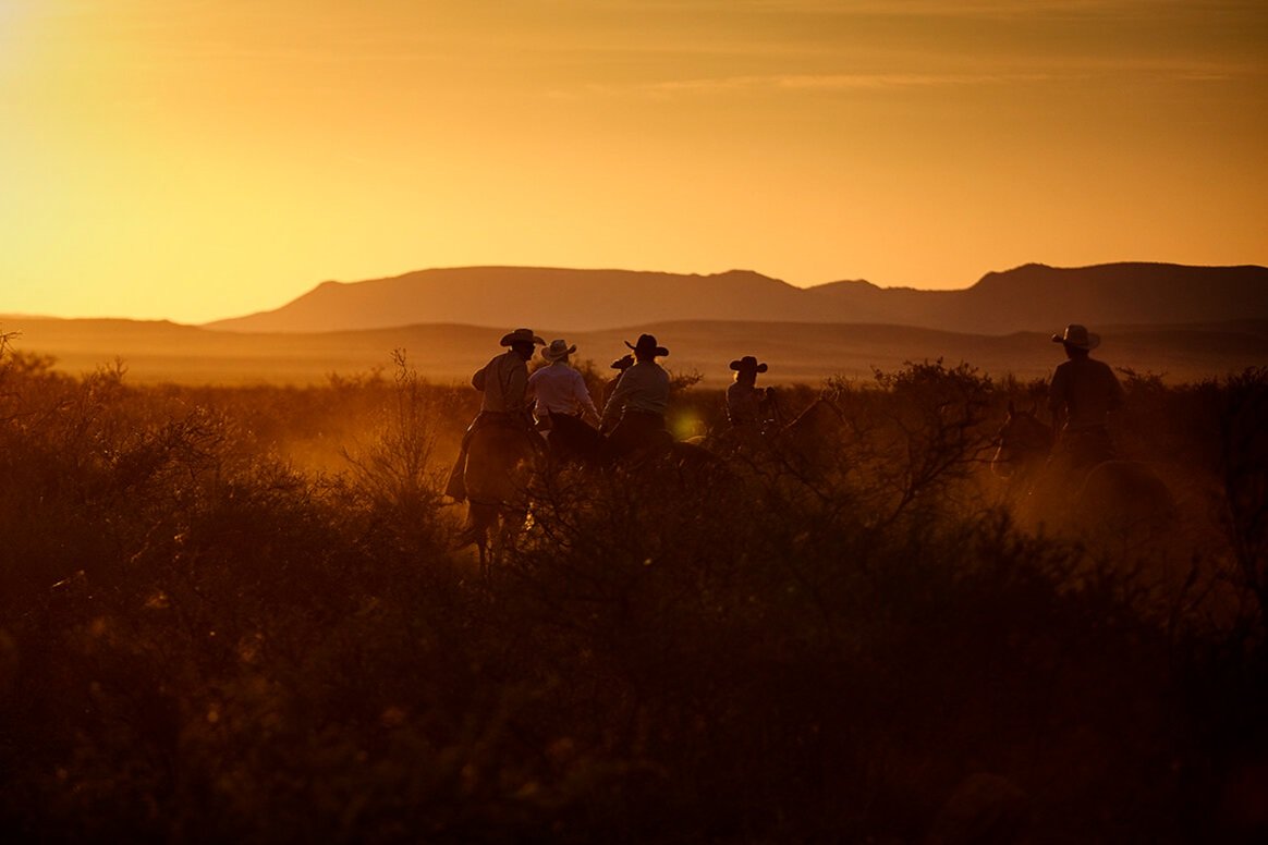 Cowboys ride into sunrise