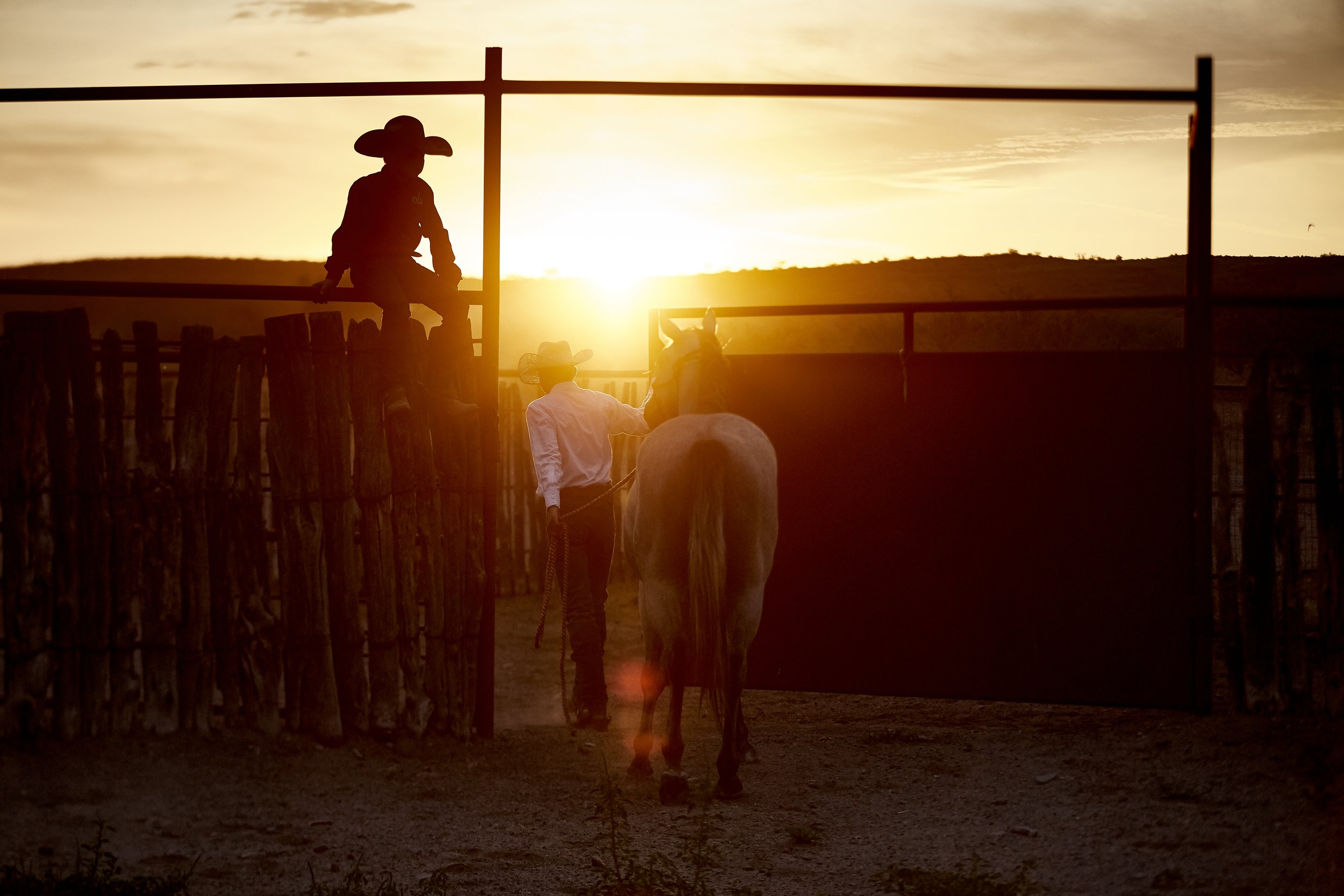 Cowboys in a corral 