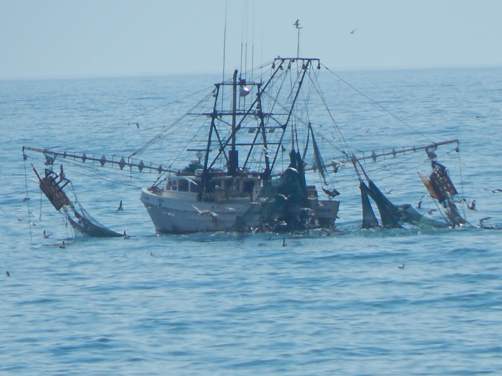 Shrimp boat.JPG