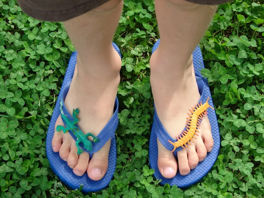 Just Wear the Darn Flip-Flops