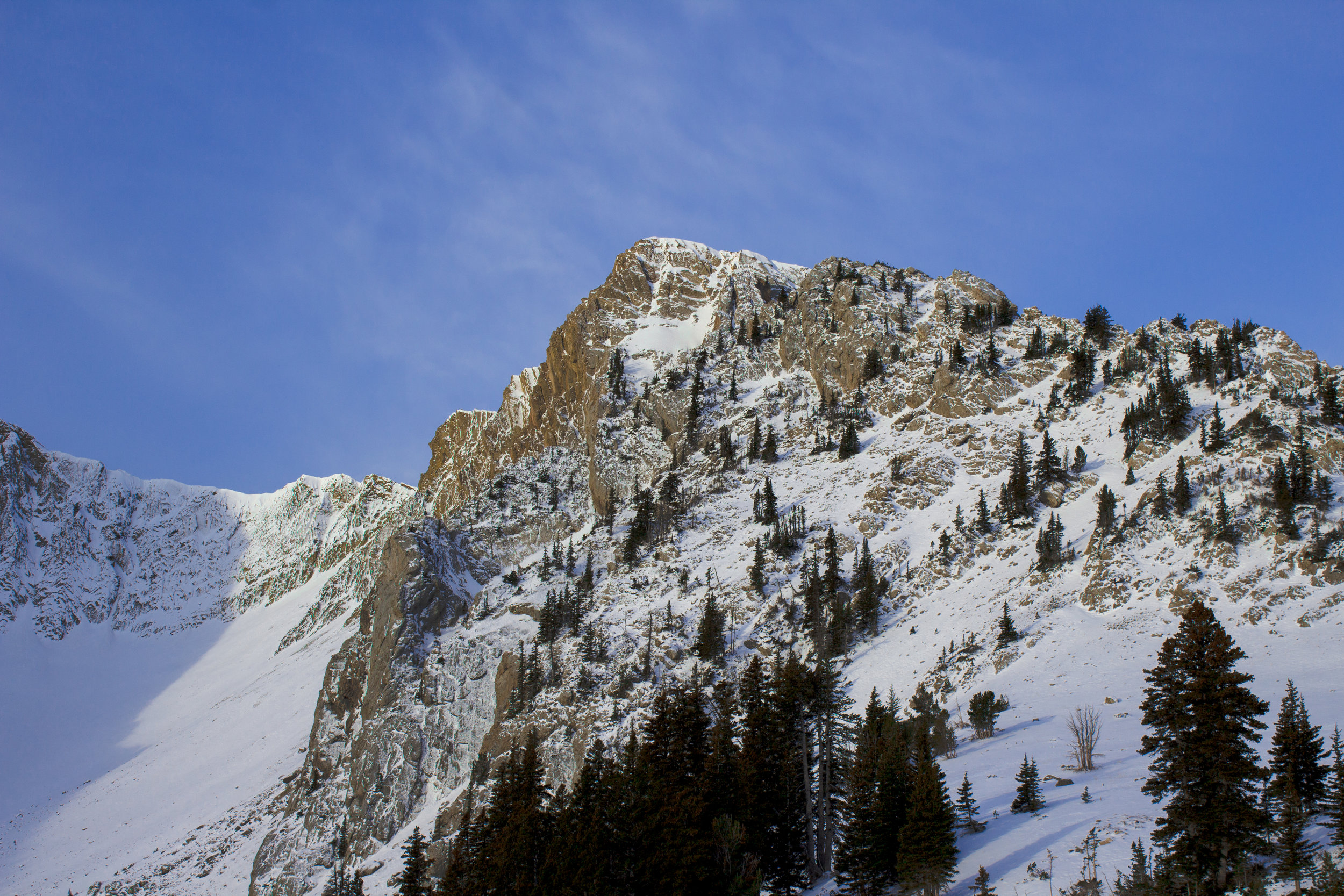 IMG_6808-2.jpg