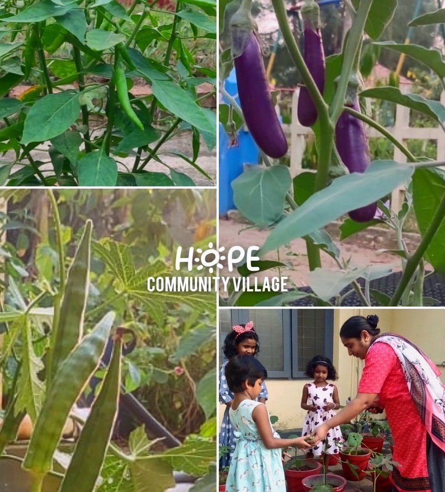 Kitchen gardens 15.jpg