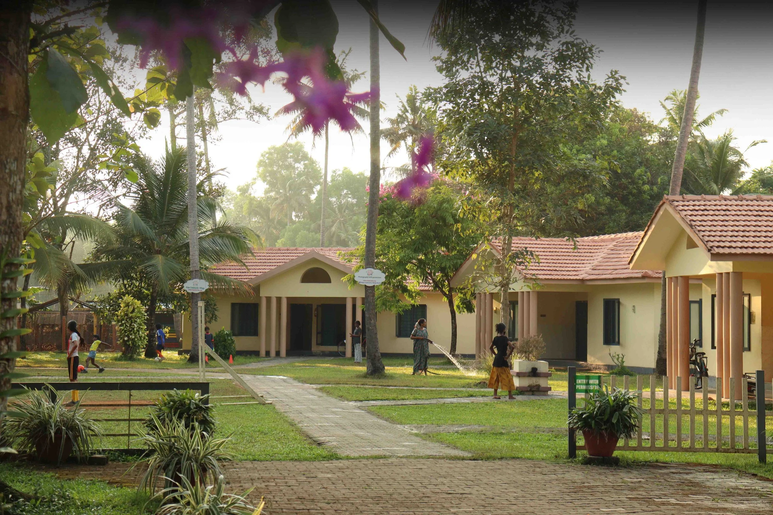 Village Website 2.jpg