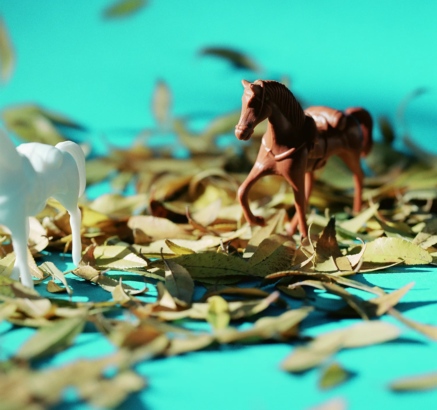 LMLM_scene _neg41.jpg