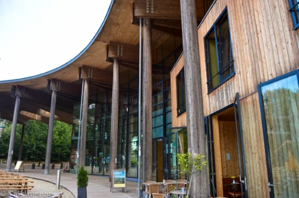 I loved the offices here! Photo Credit: Talking Forests