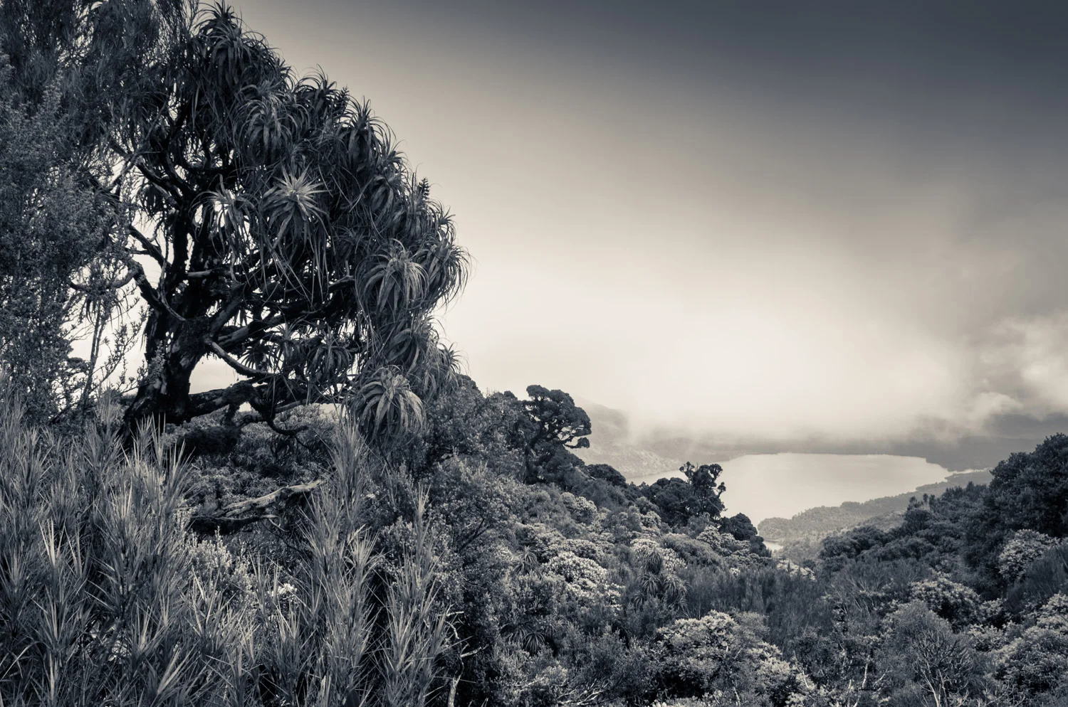 Lake Kaniere