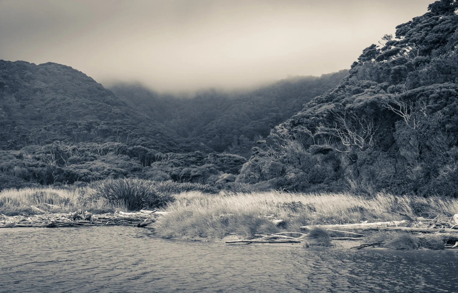 Misty Kanuka