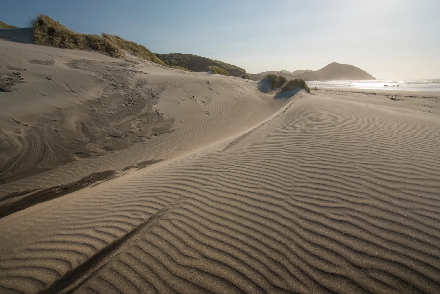 Wharariki Beach