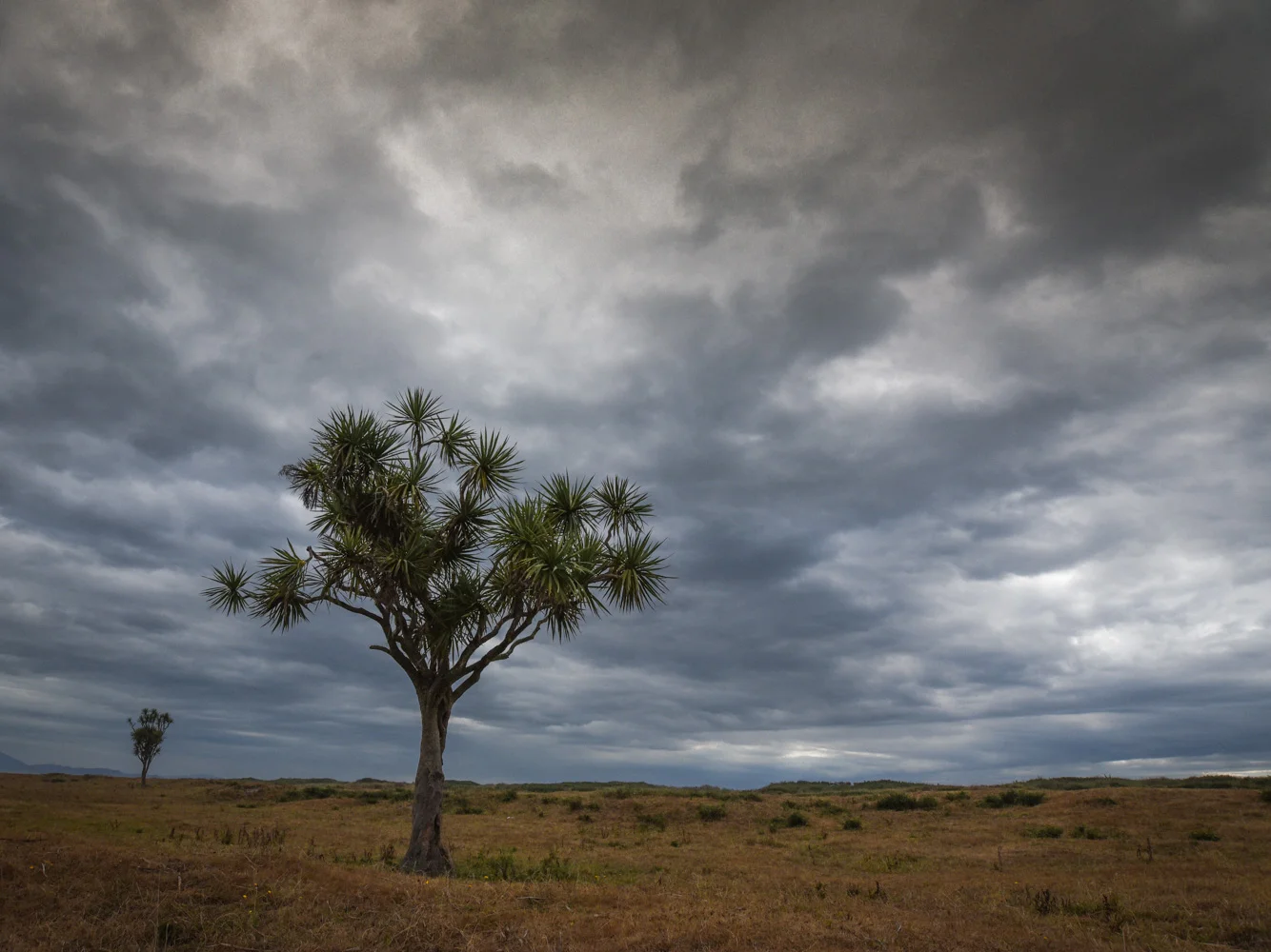 Awaiting rain