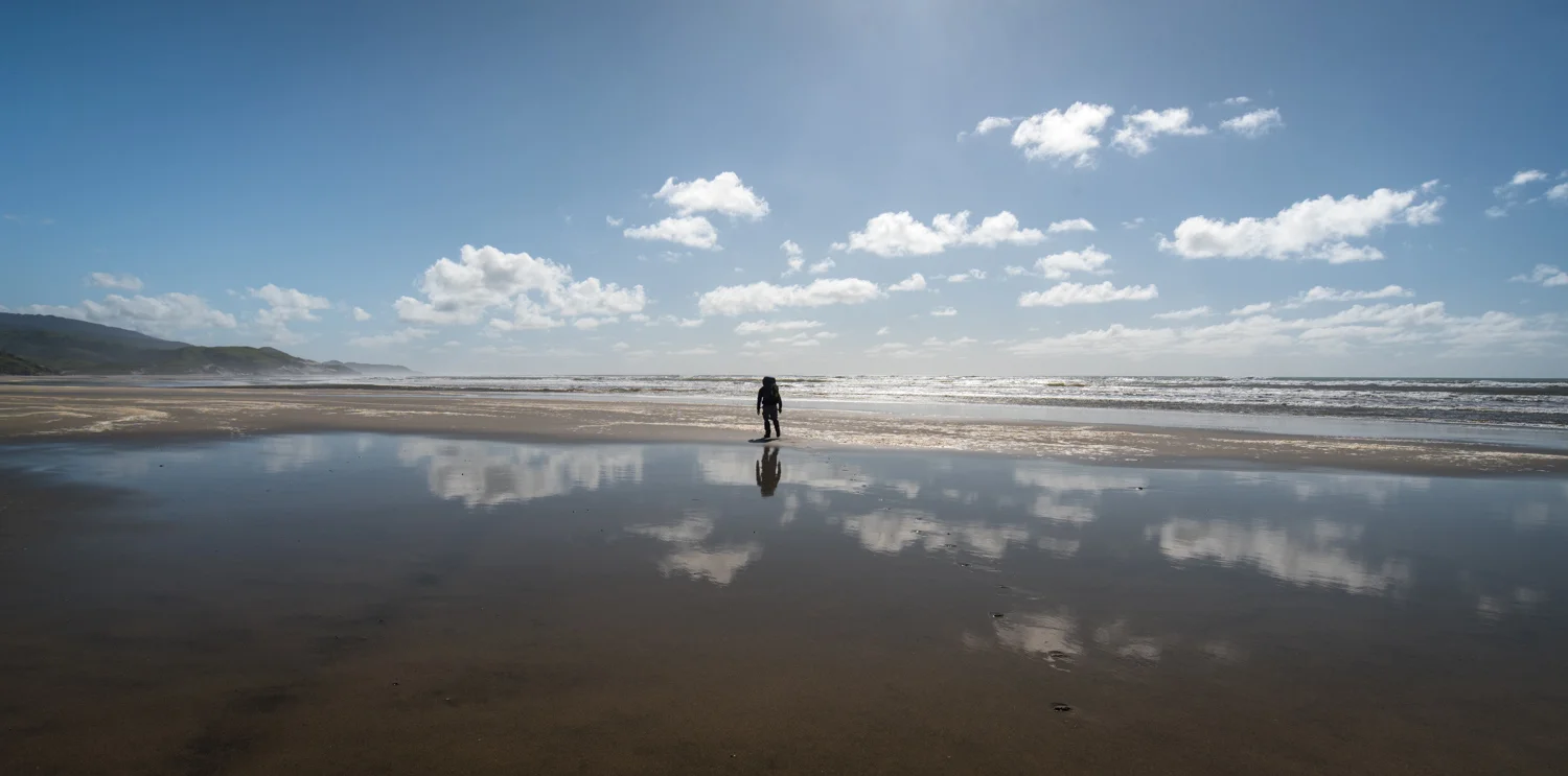 Towards the Horizon
