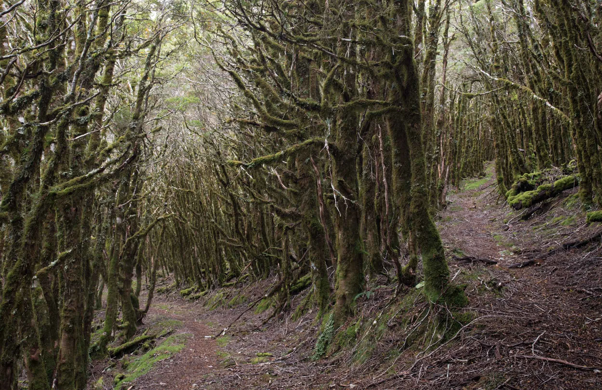 Lost