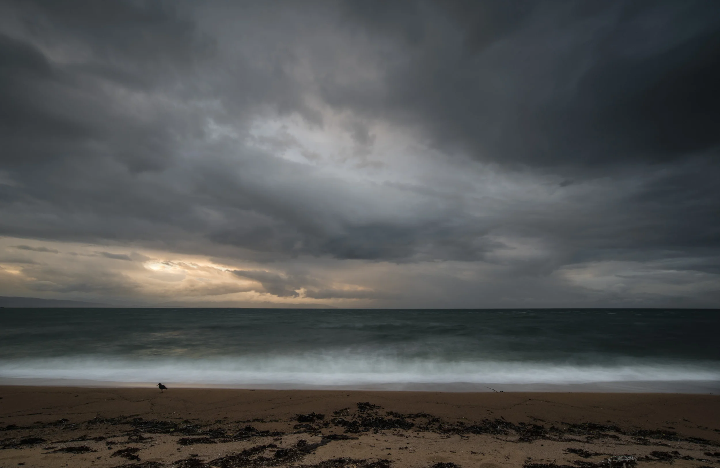 Before the storm