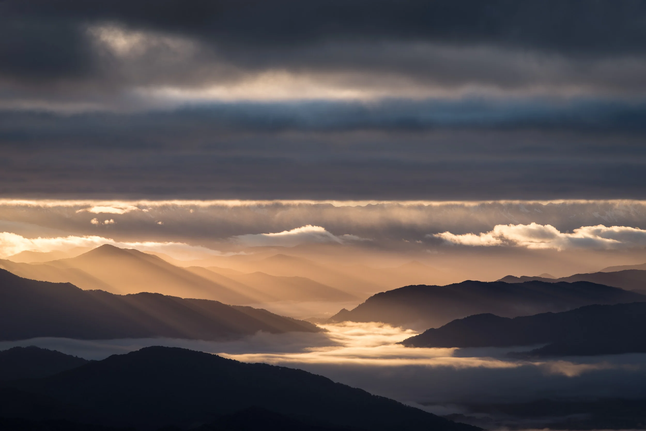 Rays of light