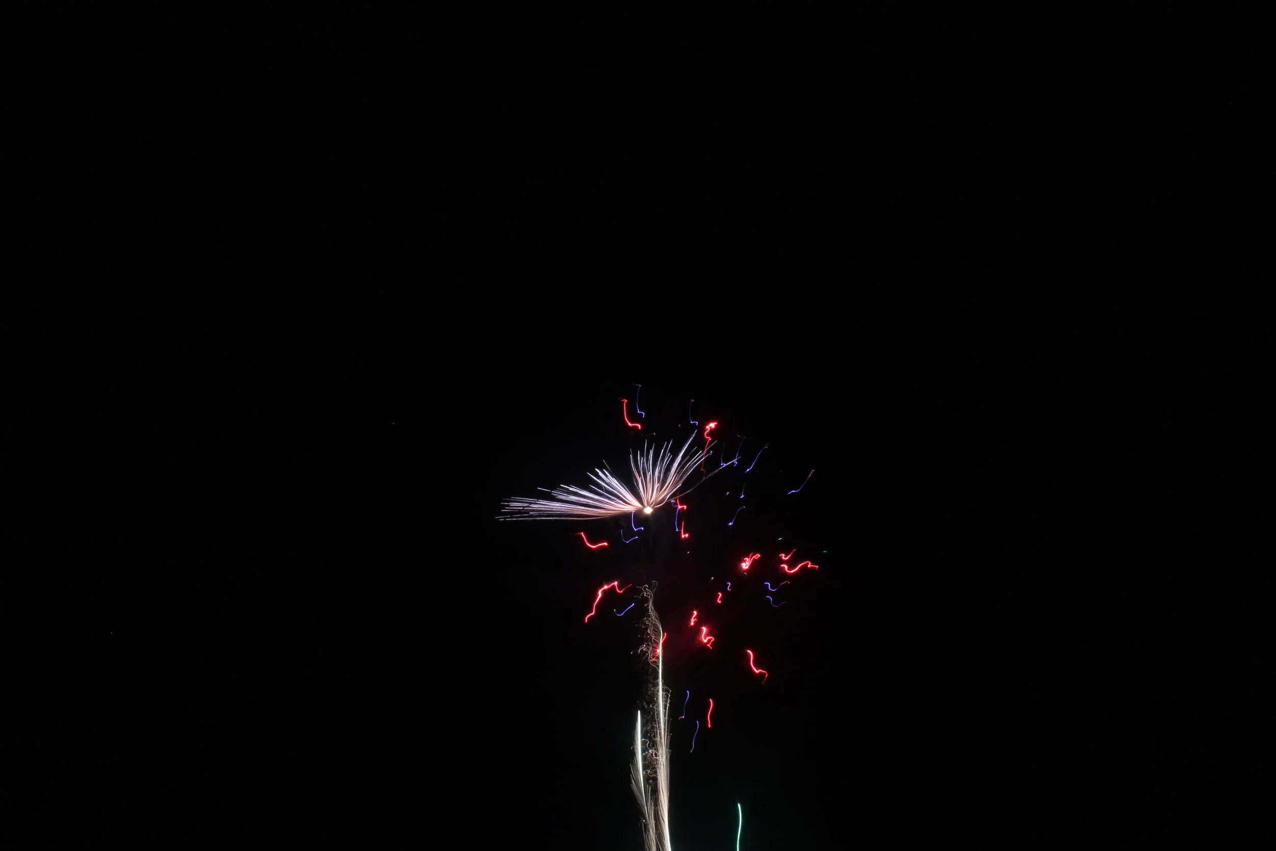 IMG_1202.JPG