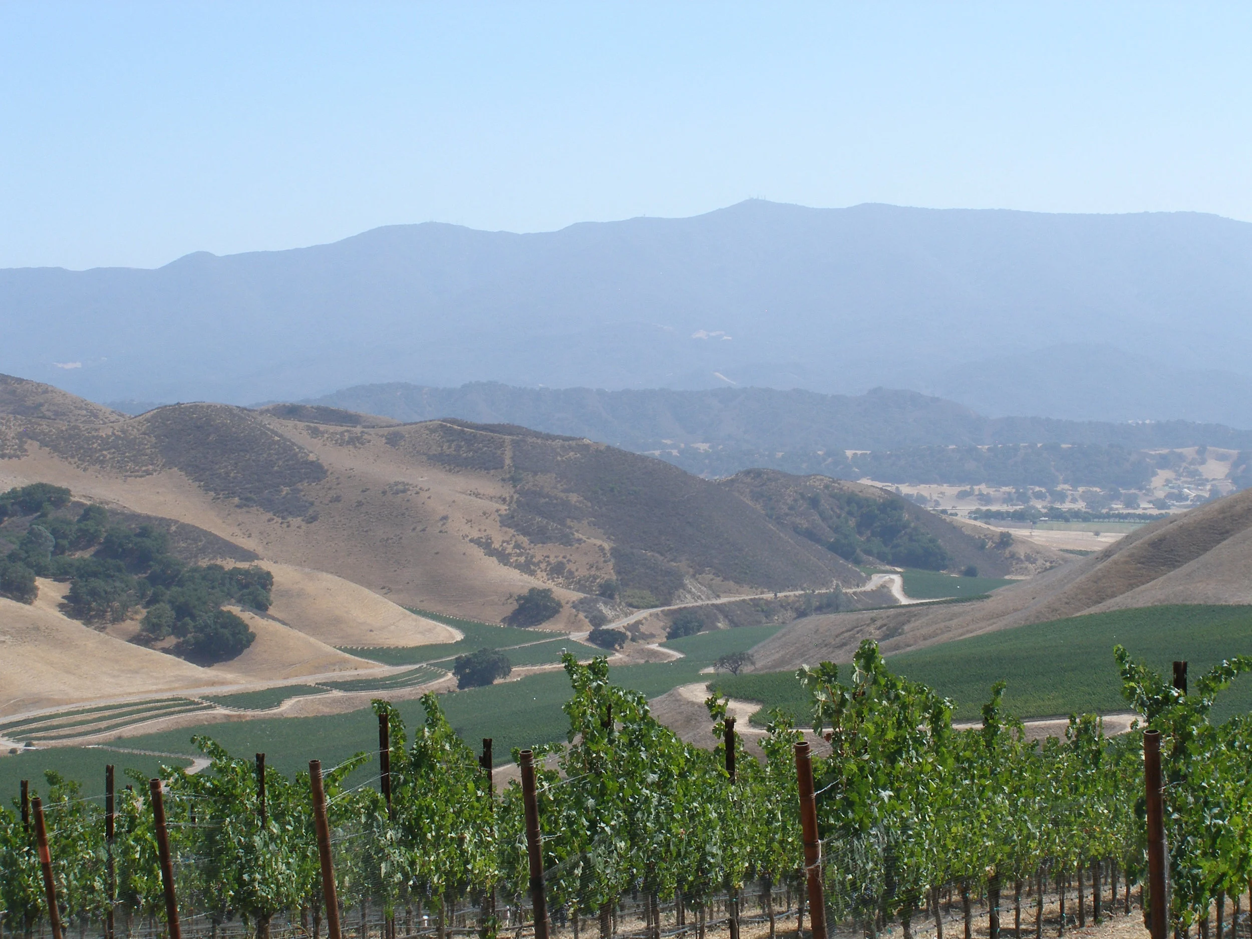napa winery.jpg