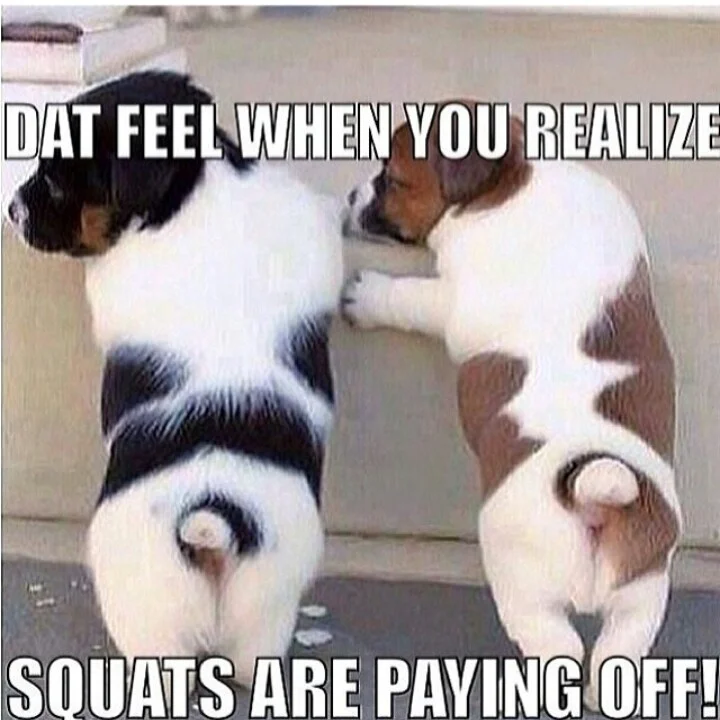 Pop a squat - The 30 day squat challenge