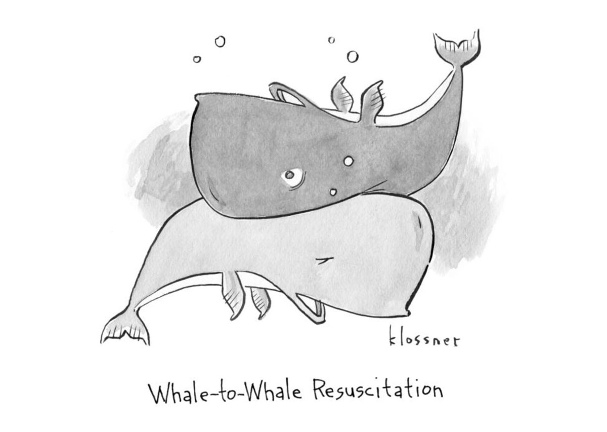 NYerwhaletowhale200.jpg