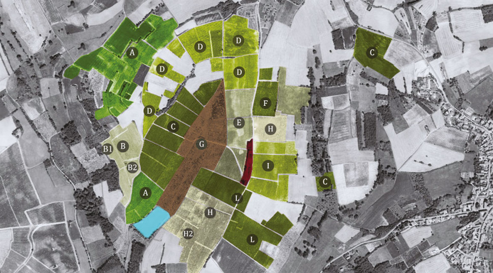vigneti_castagnole_monferrato-970x537.jpg