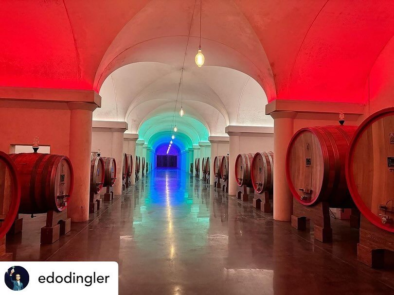 @edodingler Tabarrini Montefalco
Giampaolo is the 5th Generation with his son following his footsteps along with young but seasoned winemaker Alessandro.
Montefalco pride is palpable in the lineup, talking to Giampaolo and the team it is hard not to 