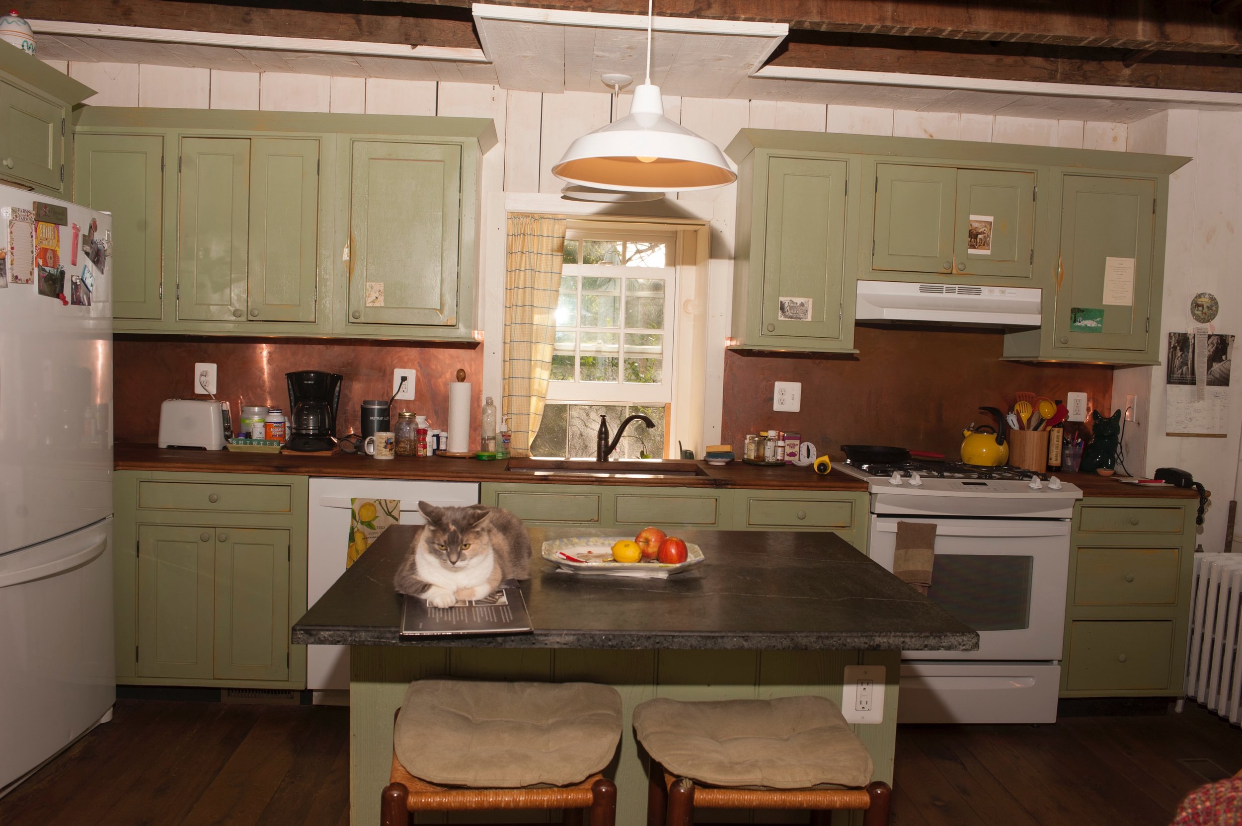  Another view of the renovated kitchen with Hannah, the cat, on her favorite perch. 