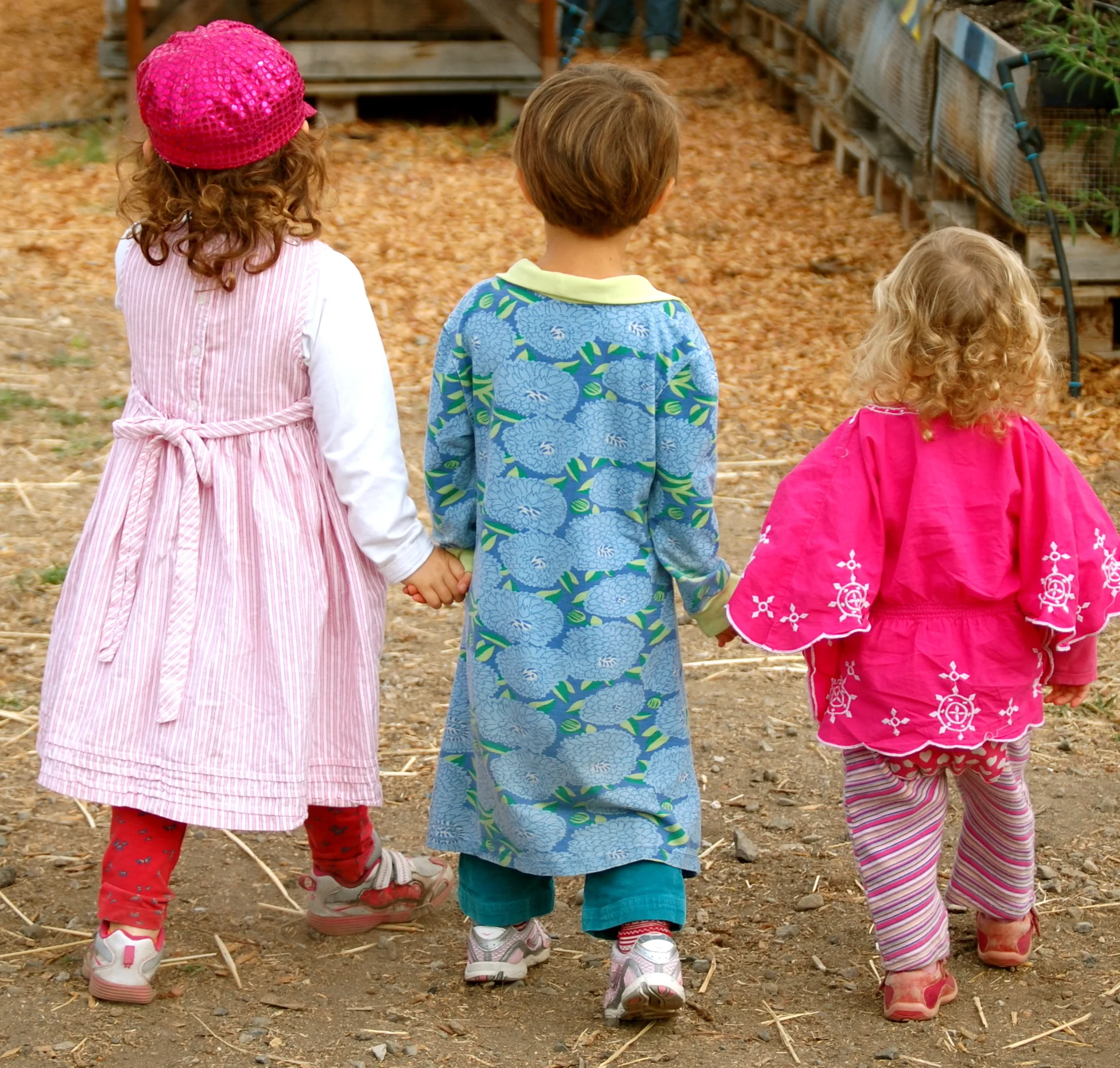 Berkeley_Homeopathy: HomeopathyForChildren.jpeg