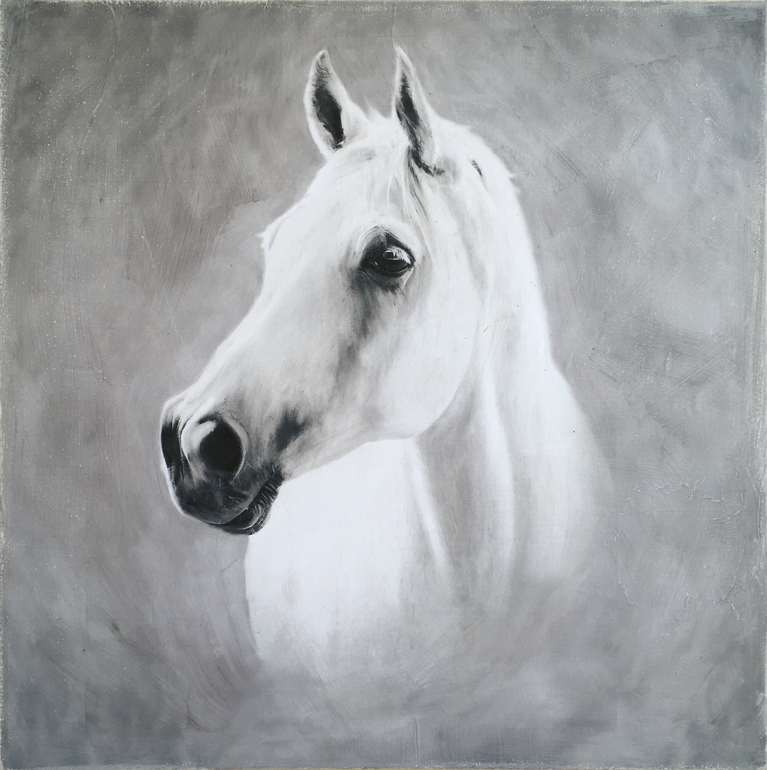 TITLE: "MAJESTIC" SIZE: 24X24
