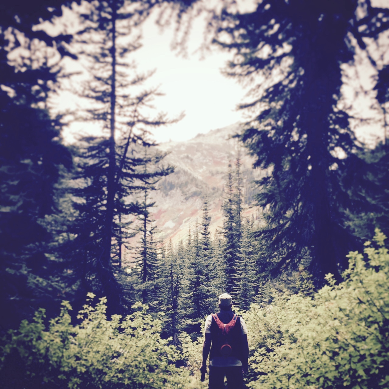 Hiking in the Pacific Northwest