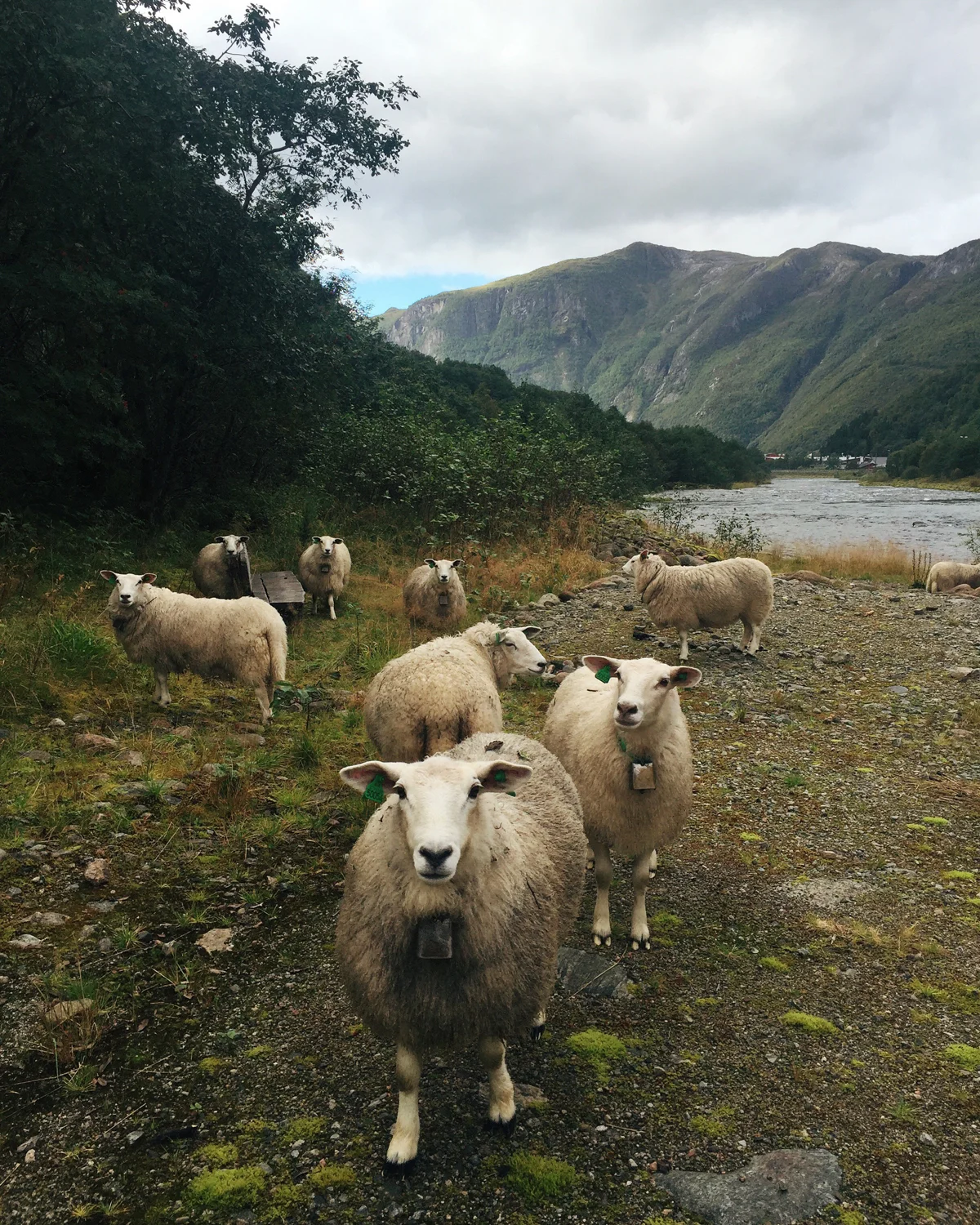 02_Norway_AndriaLo.jpg