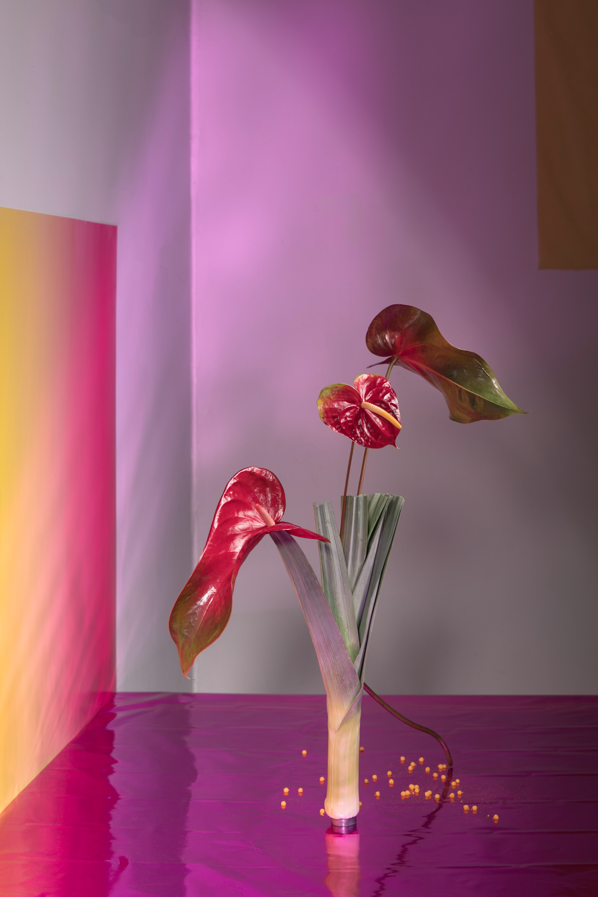 01_new-wave-ikebana_GracexAndria.jpg