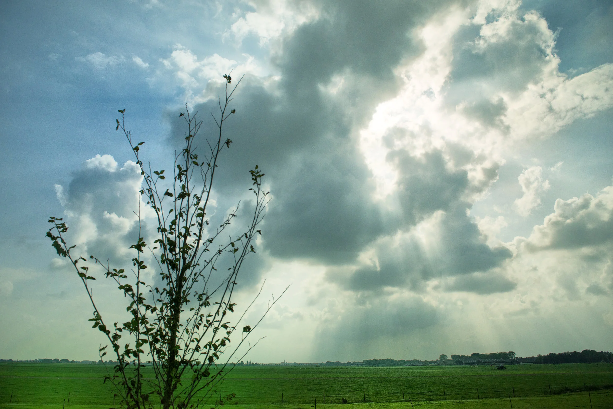 around the netherlands holland scenery2 (3).jpg