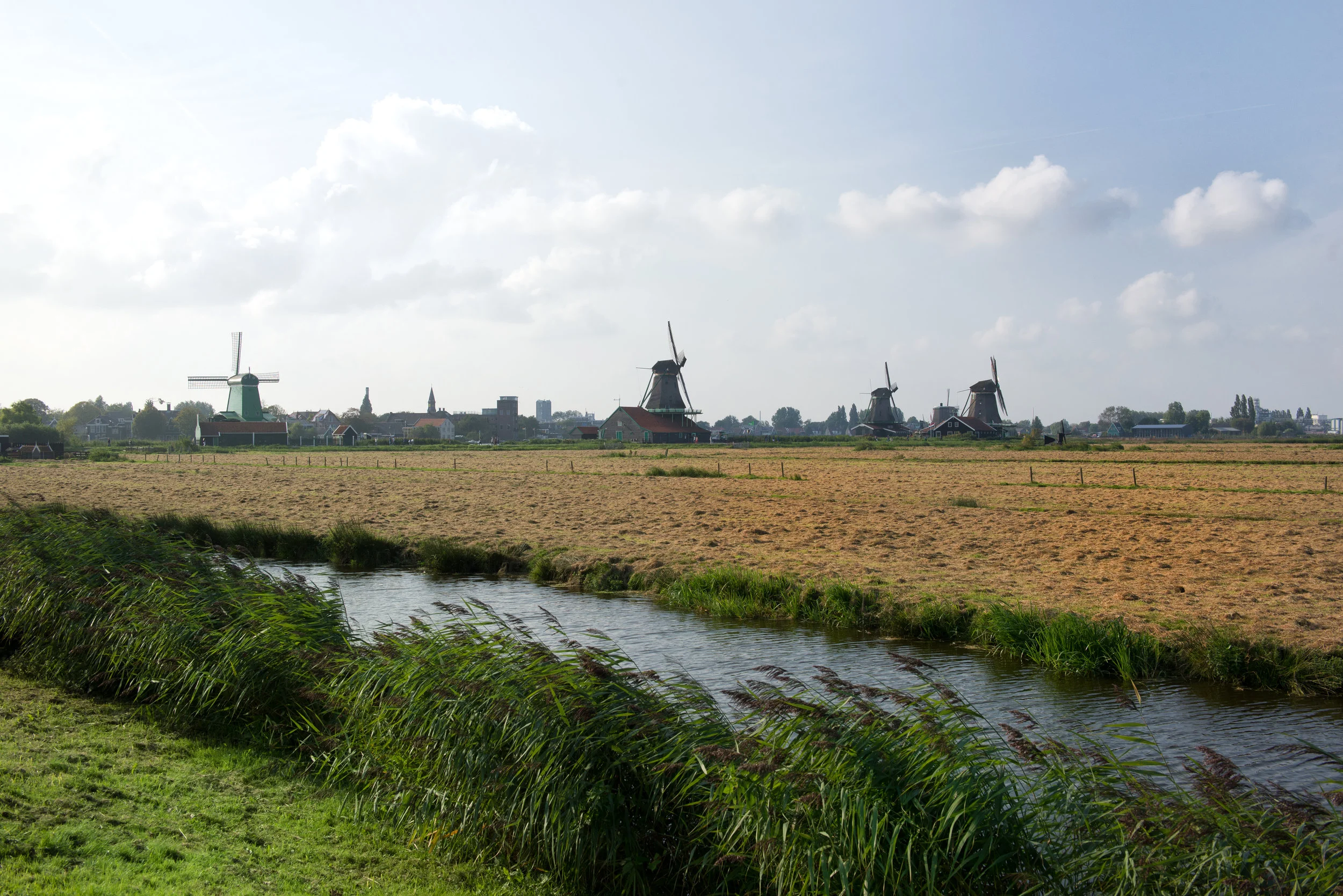 around the netherlands holland scenery8 (6).jpg