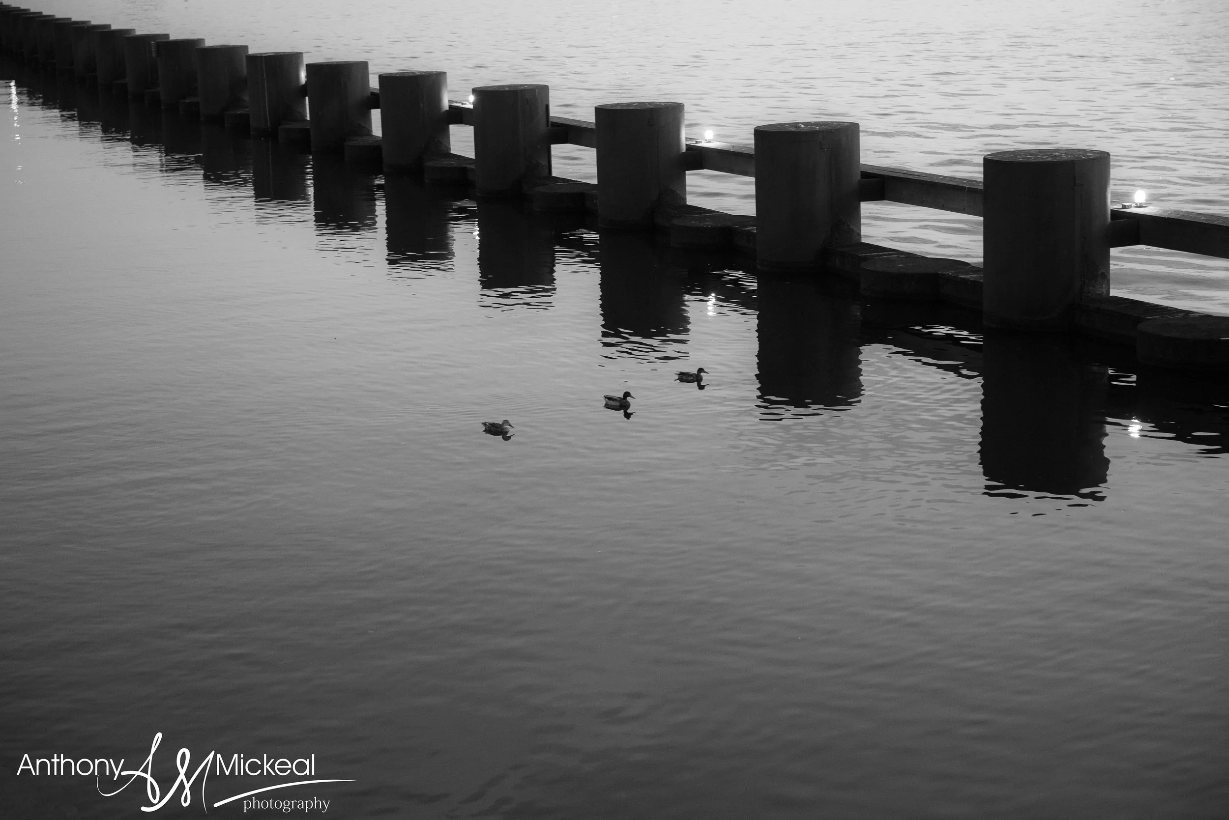 around the netherlands holland scenery9.jpg