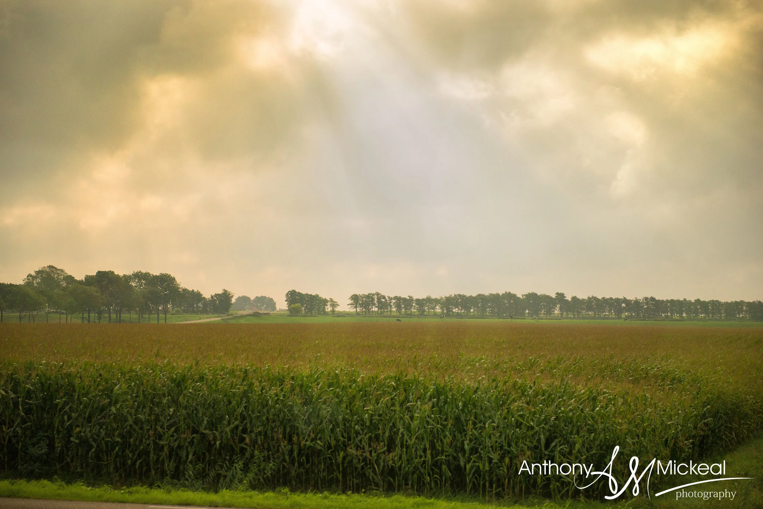 around the netherlands holland scenery5 (2).jpg