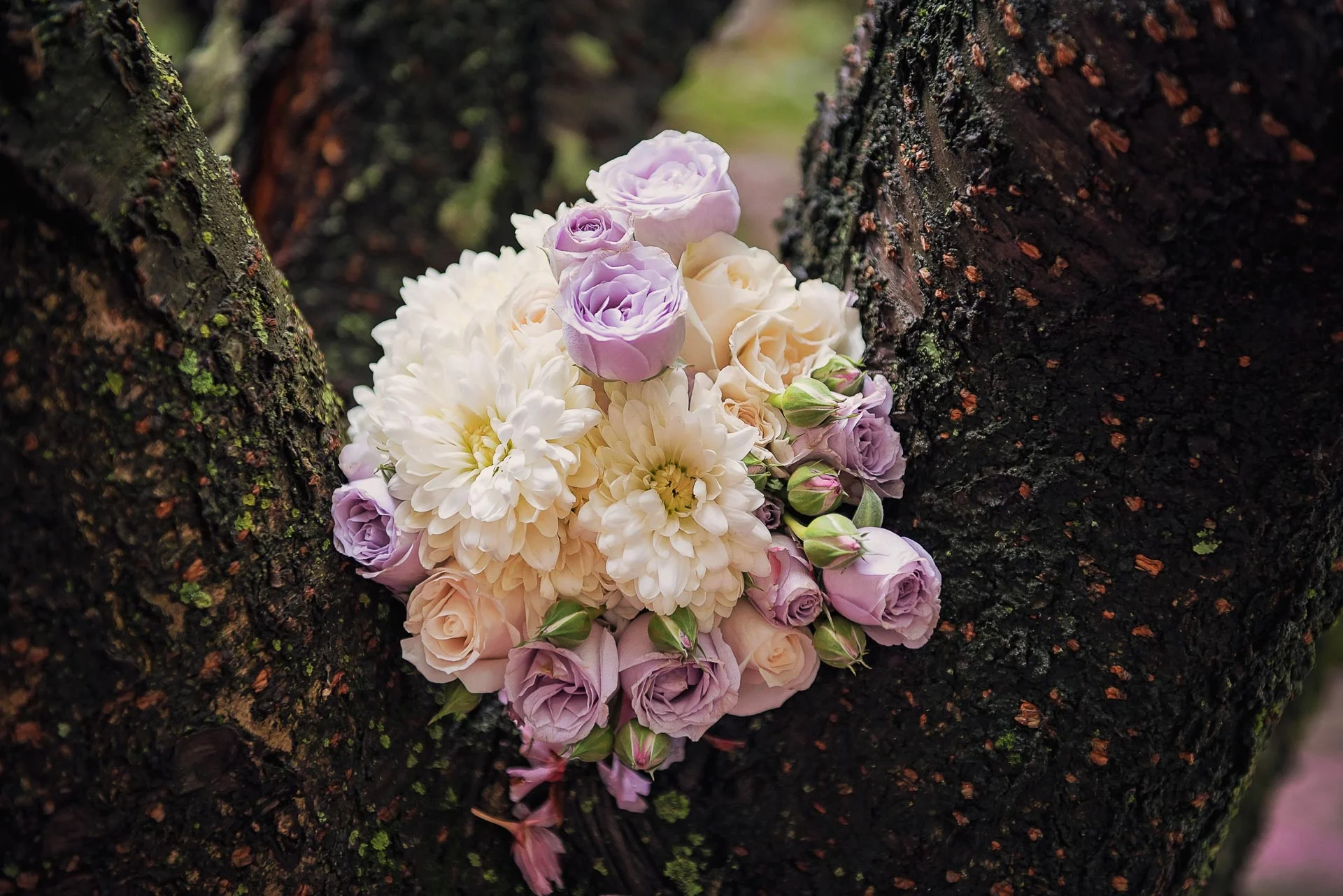 NJ Wedding Photographers0009.jpg