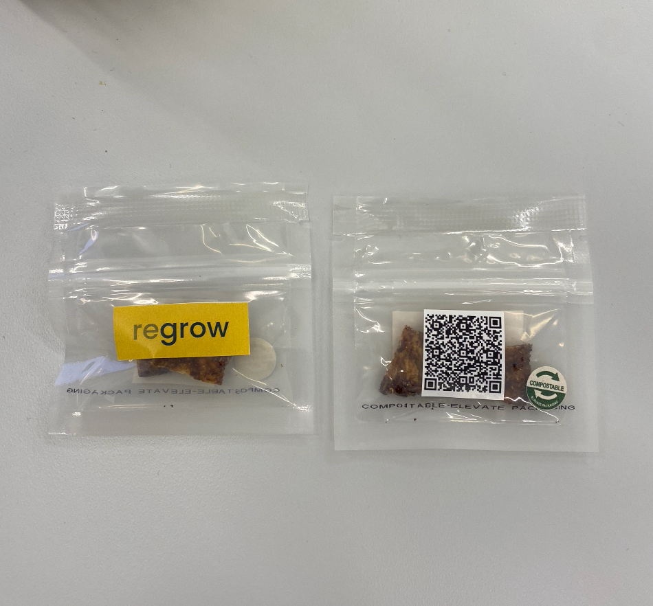 Screen Shot 2022-10-12 at 1.20.29 PM.png