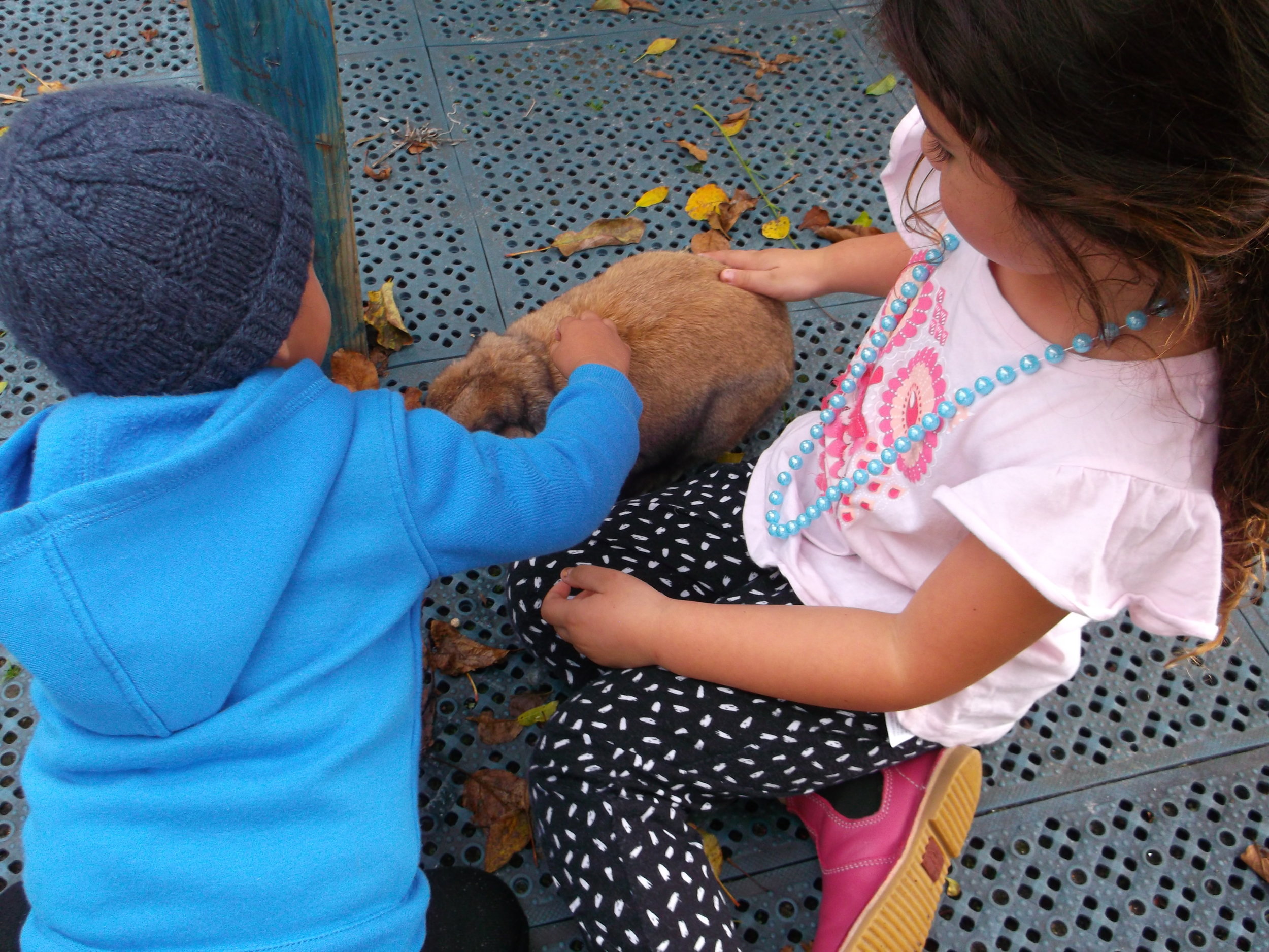 kap-playing-with-eb-rabbit2.JPG