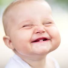 Everybody should be excited about teeth!